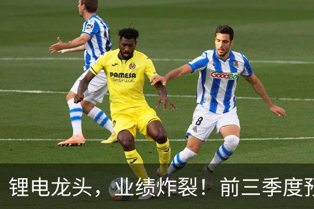 锂电龙头，业绩炸裂！前三季度预盈超51亿元，激增超27倍